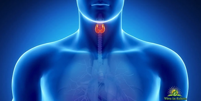 Malattie della tiroide