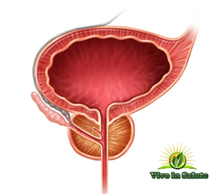 Prostata-Test-PSA-elevato