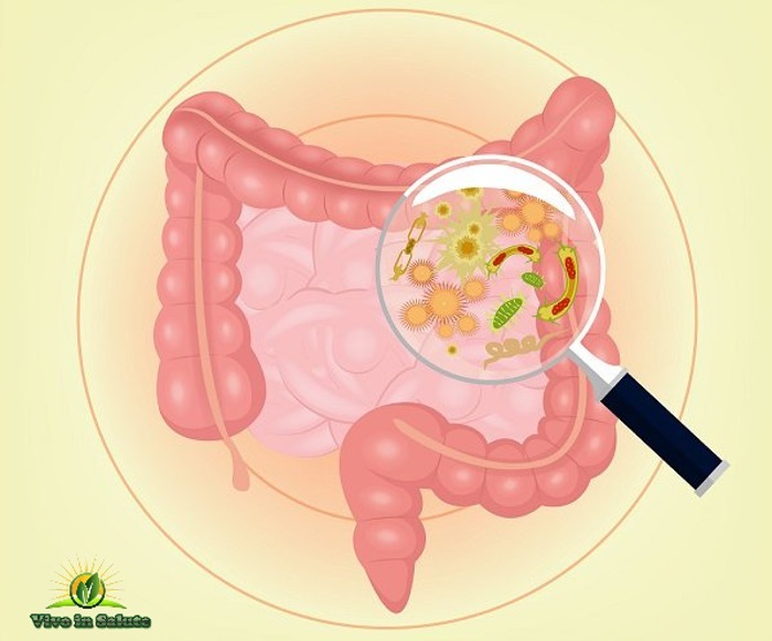 Parassiti-intestinali-batteri-intestinali