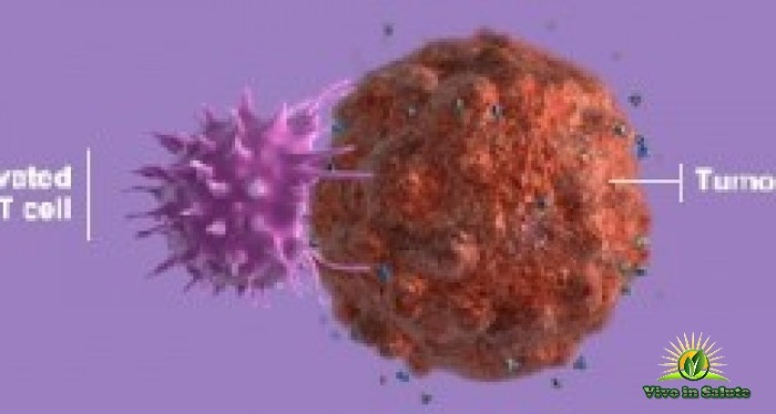 Rieducazione delle cellule T: la nuova rivoluzionaria terapia contro il cancro